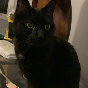 Meet your Posher, Sean